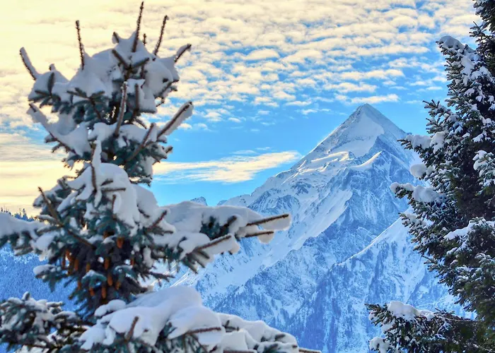 Apartment Leon - By Alpen Apartments Zell am See