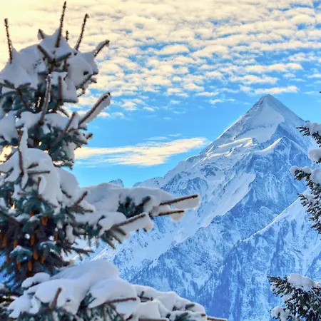 Leon - By Alpen زيل أم سي